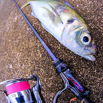 [極美品アジング】 VARIVAS　Works Limited 4S−610S Amazon.co.jp: VARIVAS Graphite Works Pro4EX Tuned Fine Line TFL